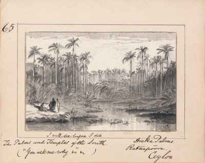 Illustratie bij Tennysons Je vraagt me waarom - Areka-palmen, Ratanapooru, Ceylon door Edward Lear